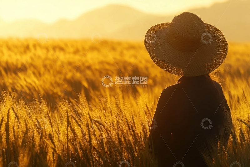 高清大图下载【趣麦麦图】麦田里带着草帽的少女