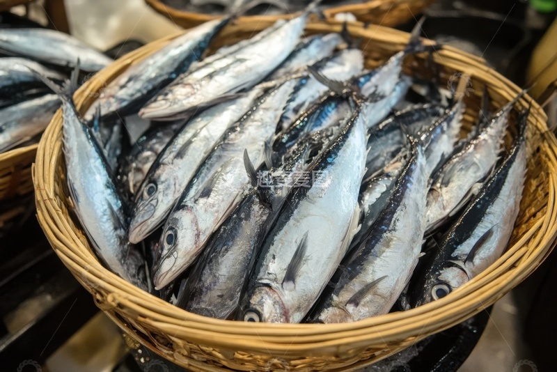 高清大图下载【趣麦麦图】一篮子新鲜的海鱼