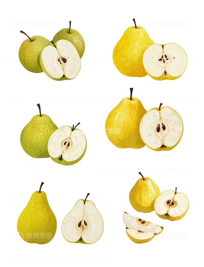 源文件下载【趣麦麦图】多样梨子插画素材