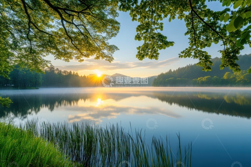 高清大图下载【趣麦麦图】树叶湖泊日出风景