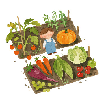 男孩和他的蔬菜