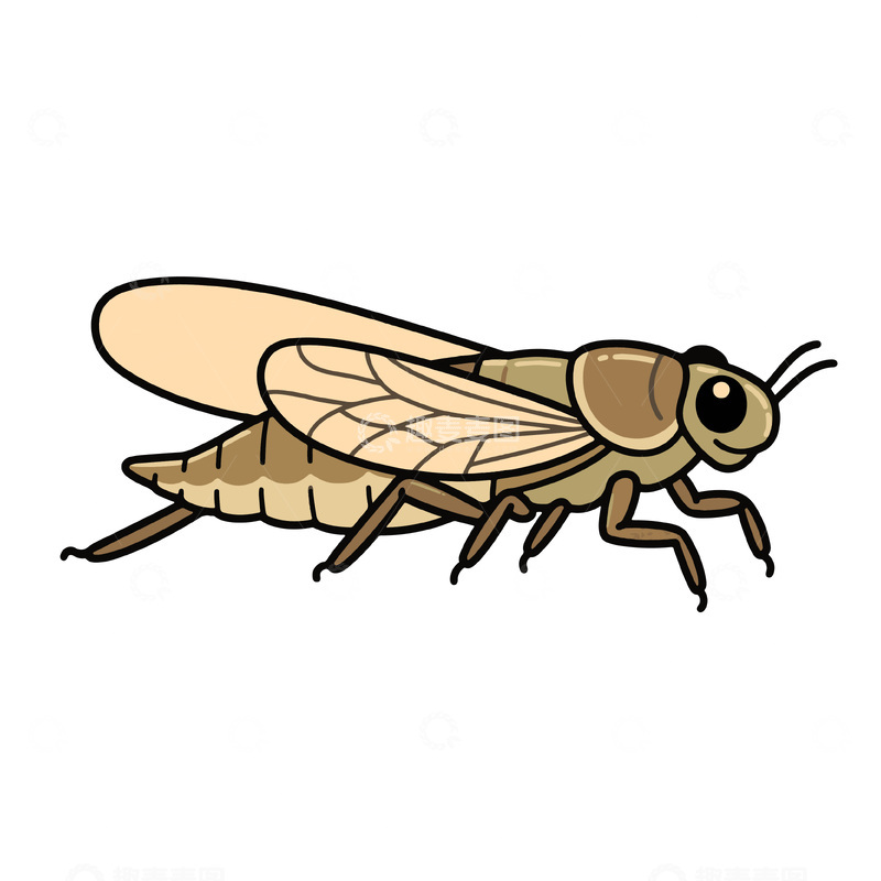 源文件下载【趣麦麦图】-一只夏天的蝉