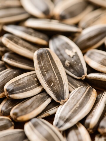 盘中摆放的葵花籽