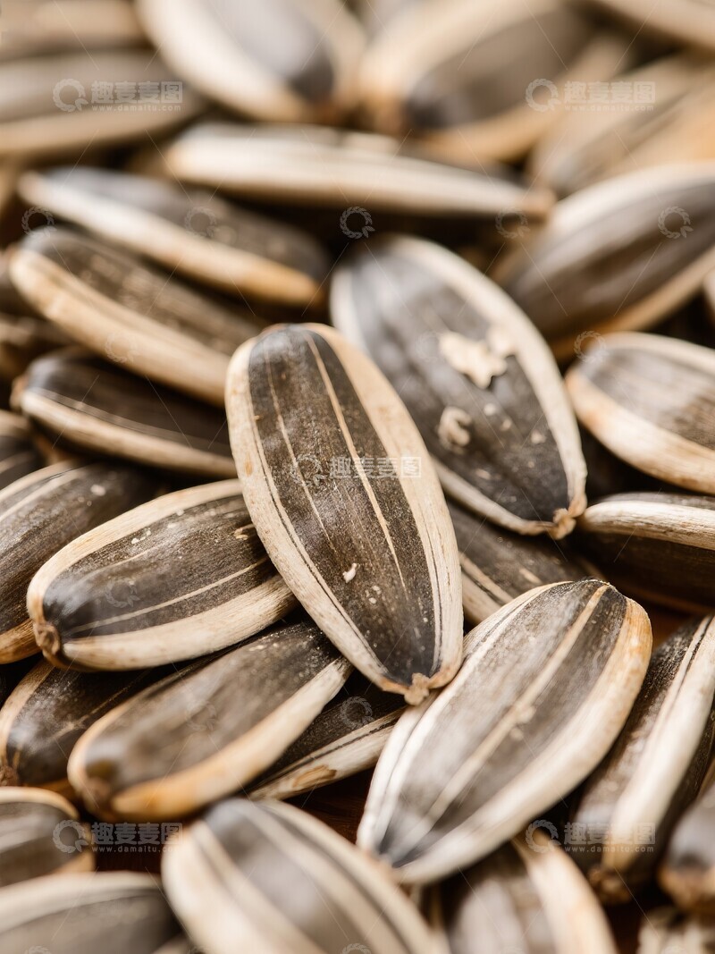 高清大图下载【趣麦麦图】盘中摆放的葵花籽