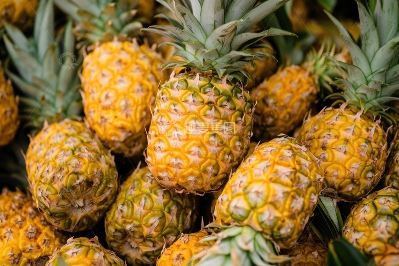 高清大图下载【趣麦麦图】一堆新鲜的菠萝摄影