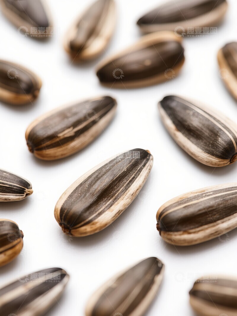 高清大图下载【趣麦麦图】五香葵花籽白色背景