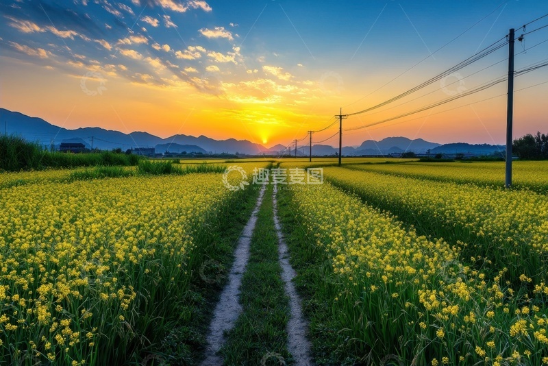 高清大图下载【趣麦麦图】乡下的油菜花花田