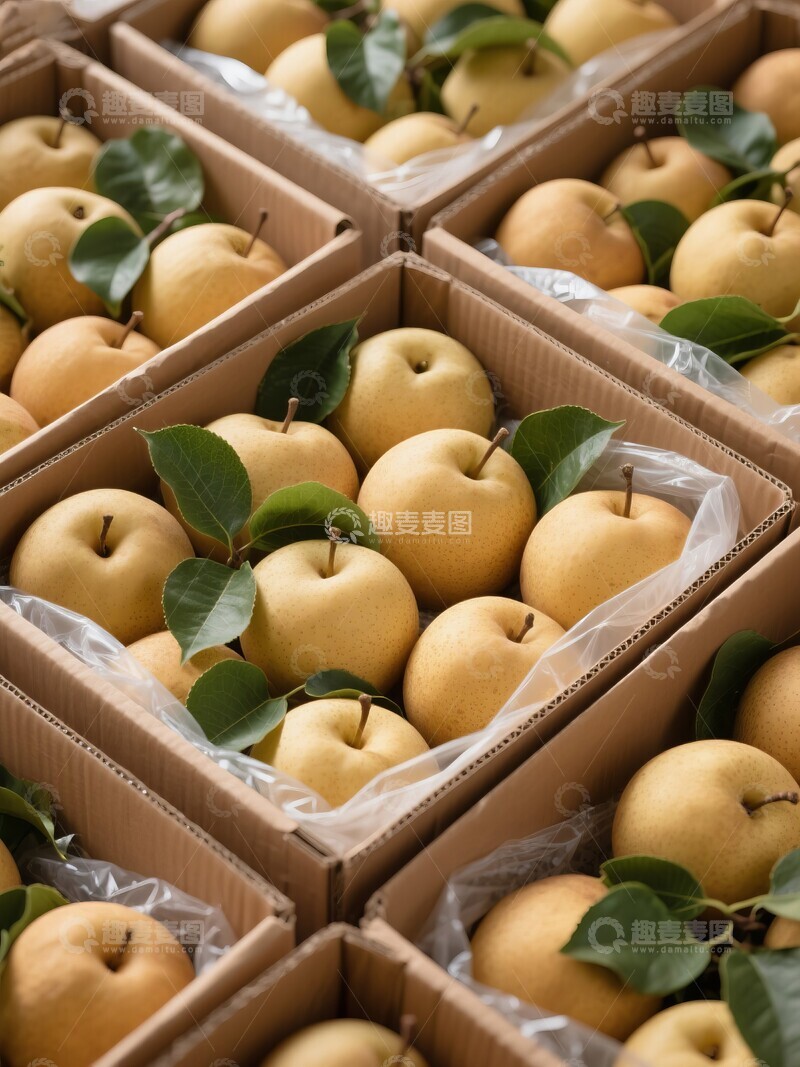 高清大图下载【趣麦麦图】新鲜梨子整齐装箱展示