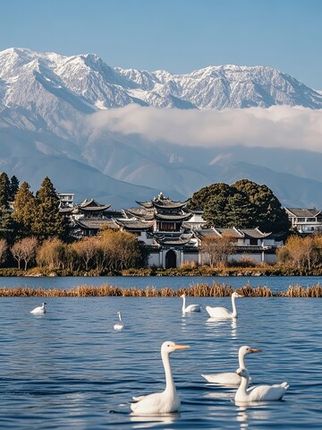 雪山下的古镇与湖中白鹅