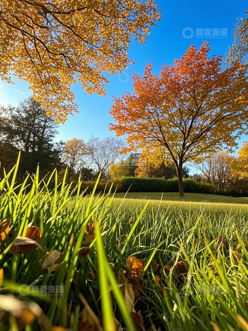 高清大图下载【趣麦麦图】-秋日阳光下的公园景色