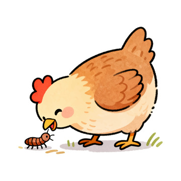 小母鸡吃虫子