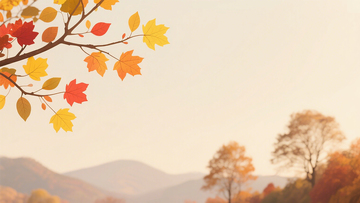 秋意朦胧山林场景秋日枝叶背景素材图