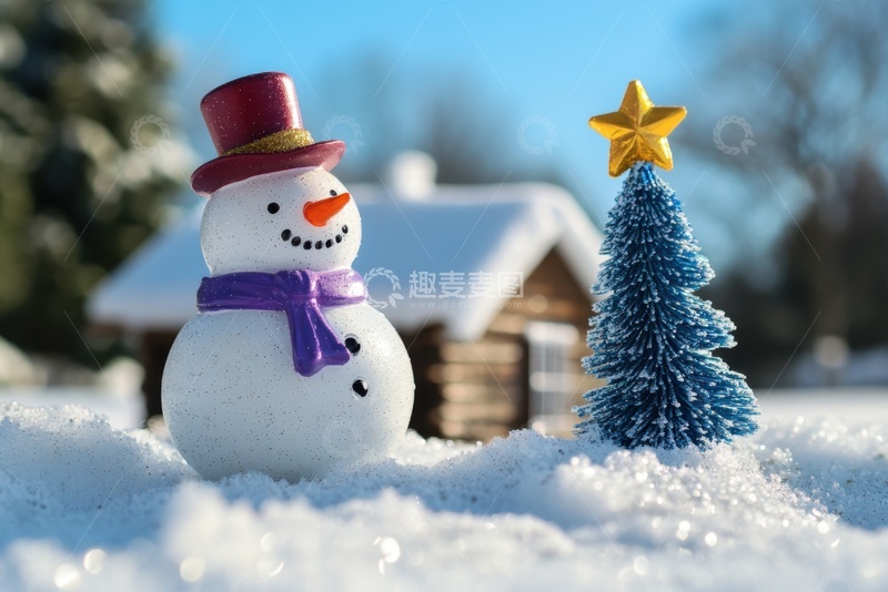 高清大图下载【趣麦麦图】微景观雪地里的雪人和松树