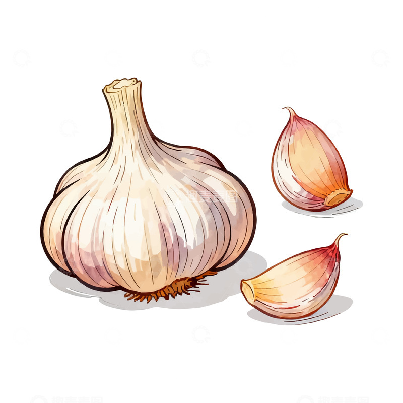 源文件下载【趣麦麦图】一颗完整大蒜