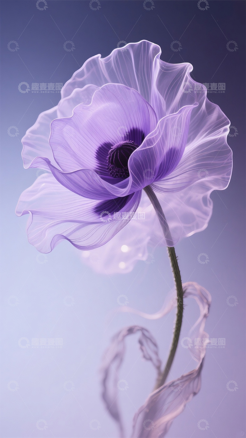 高清大图下载【趣麦麦图】紫色莫兰迪轻薄罂粟3