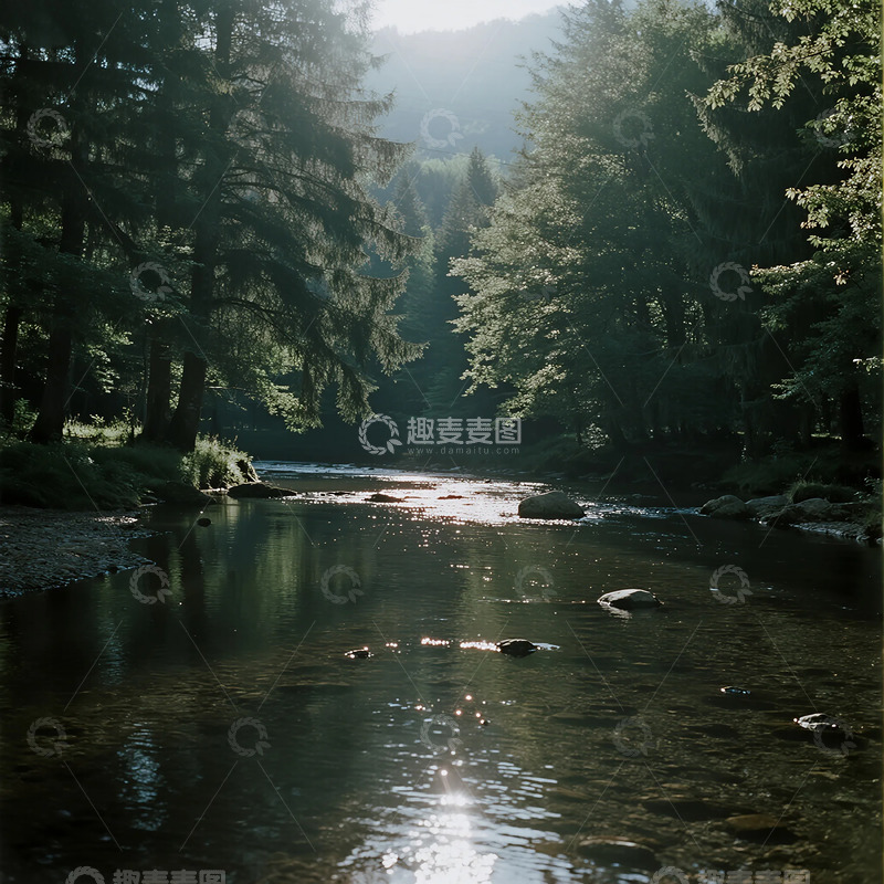 高清大图下载【趣麦麦图】森林小河清澈河水摄影背景