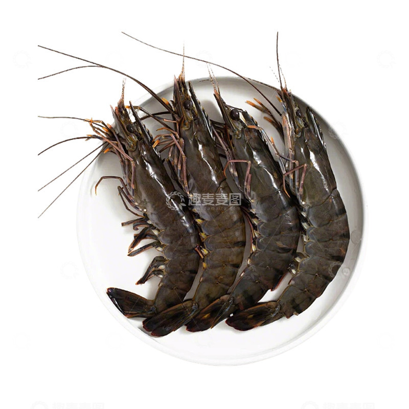 高清大图下载【趣麦麦图】新鲜肥美的黑虎虾 