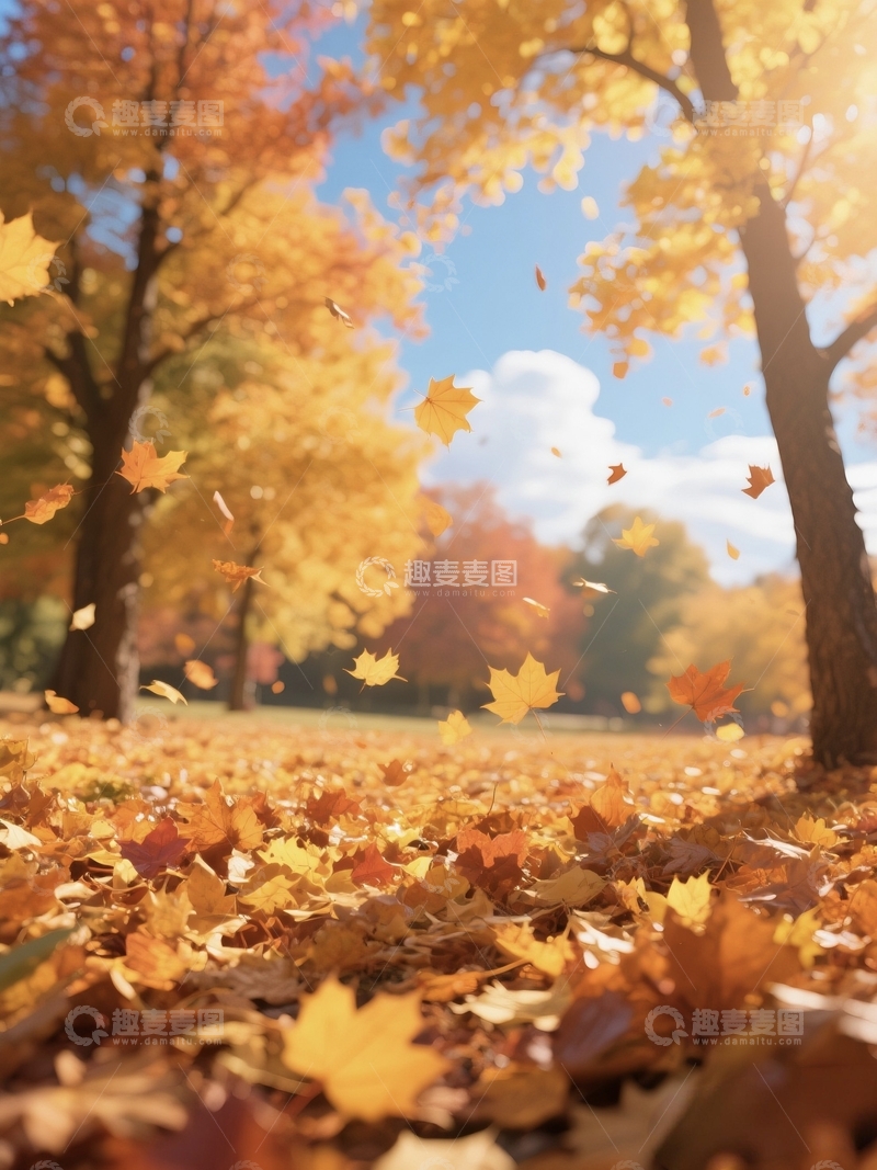 高清大图下载【趣麦麦图】秋天落叶落下美丽的森林