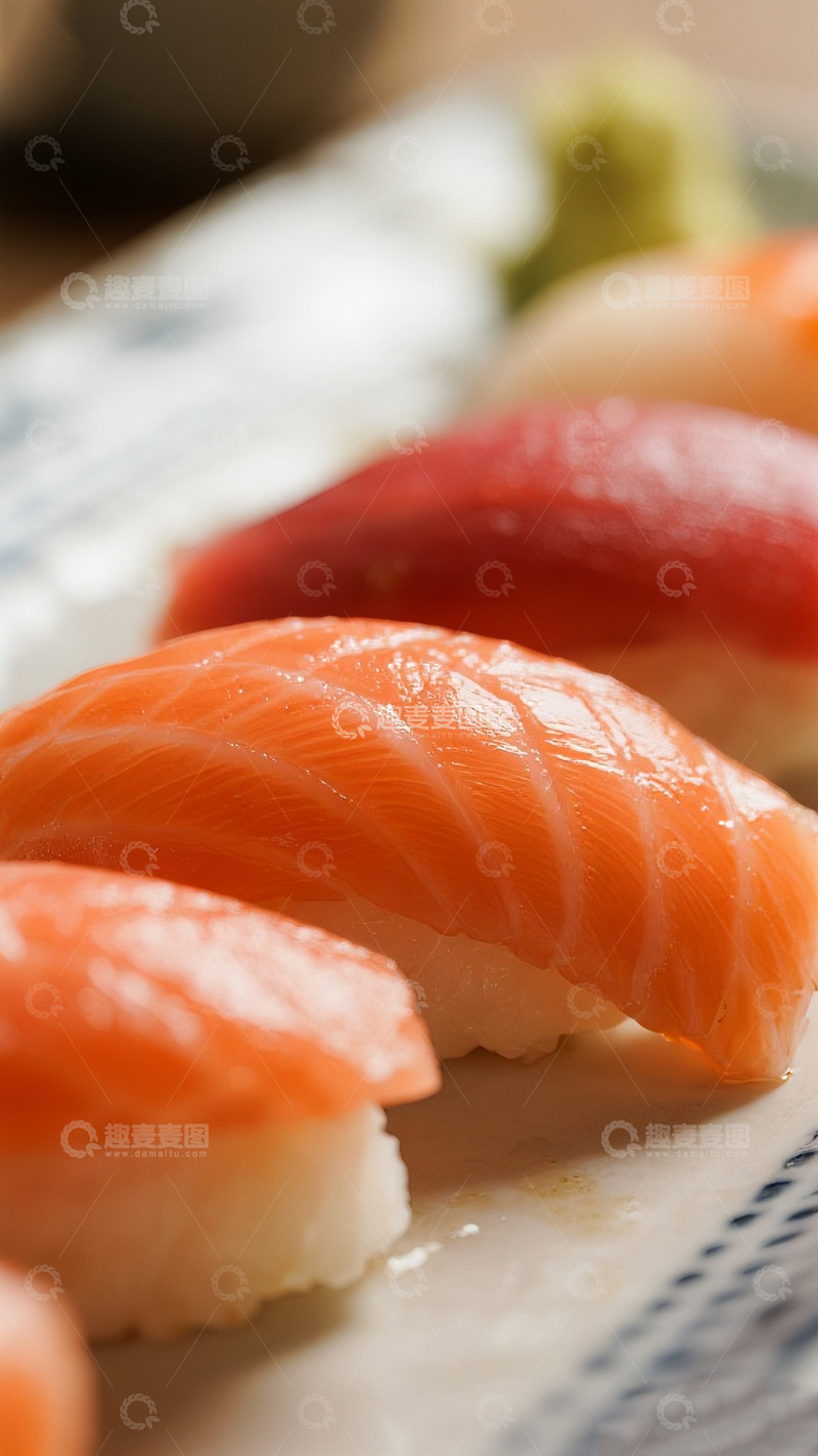 高清大图下载【趣麦麦图】美味精致的三文鱼寿司4