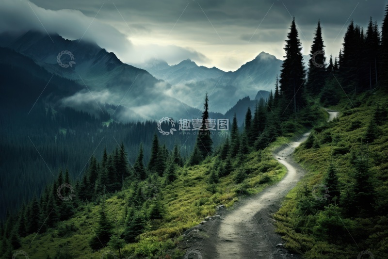 高清大图下载【趣麦麦图】夏季山林里的松树小径