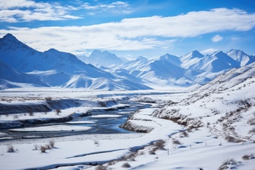 冬季白雪覆盖的田野