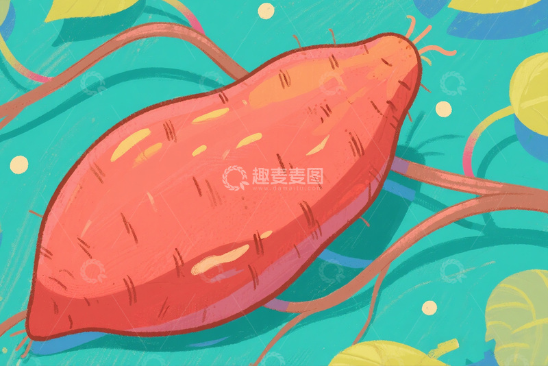 高清大图下载【趣麦麦图】红薯插画图13
