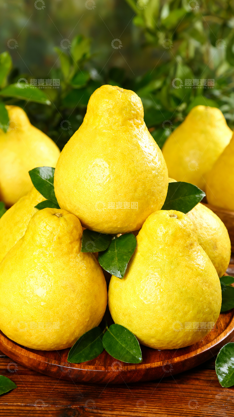 源文件下载【趣麦麦图】广西沙田柚4