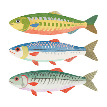 水彩插画彩色的鱼