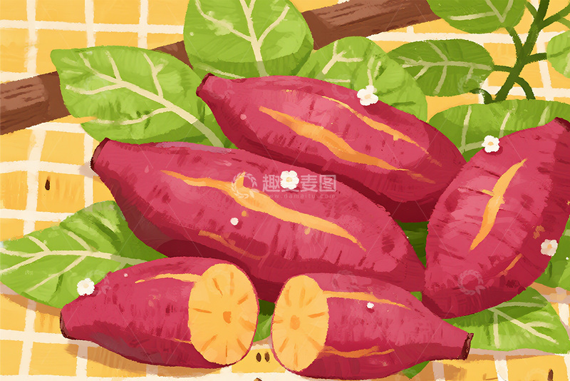 高清大图下载【趣麦麦图】红薯插画图7