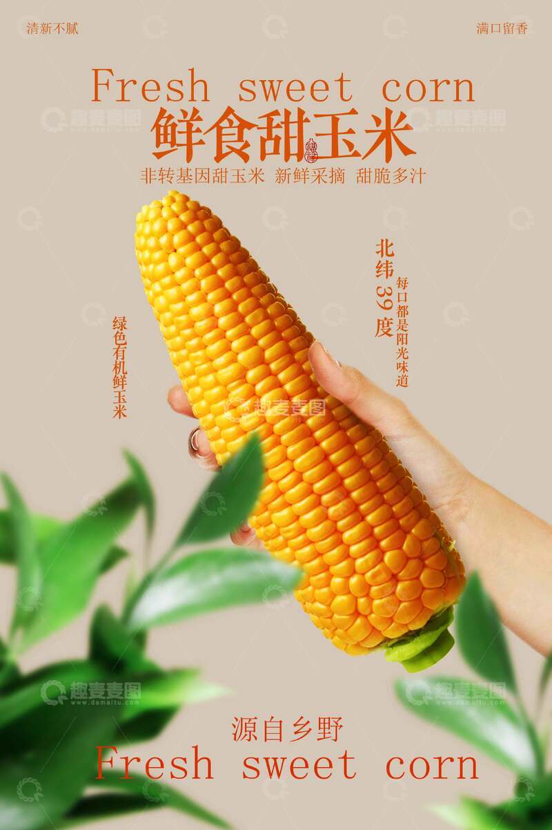 源文件下载【趣麦麦图】-鲜食甜玉米美食小吃宣传海报