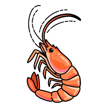 熟透的大虾卡通