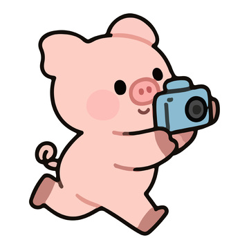 在拍照的小猪
