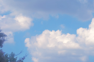 蓝天白云与树