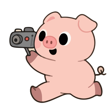 在拍照的小猪