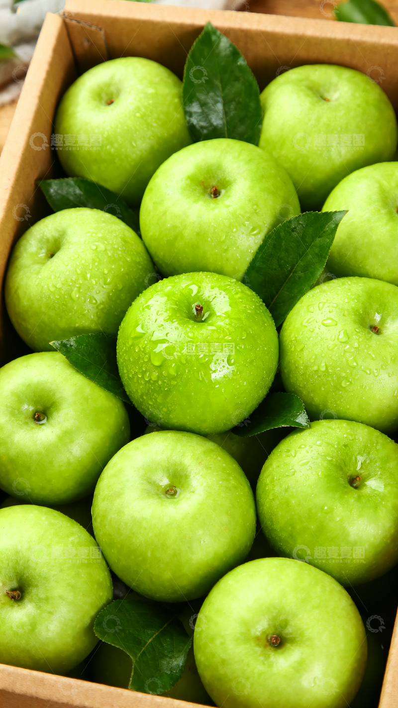 源文件下载【趣麦麦图】青苹果摄影3