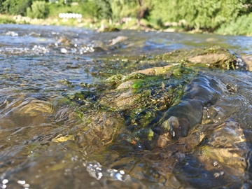 清澈小溪-随机定格