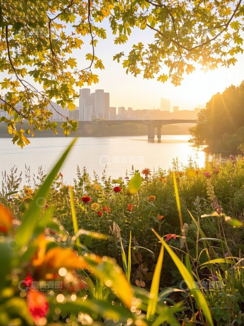 高清大图下载【趣麦麦图】秋季湖畔花海晨景