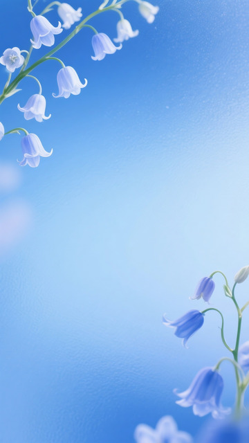 风铃花简约背景素材1