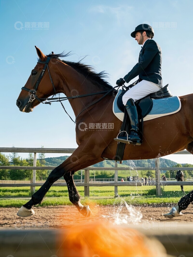 高清大图下载【趣麦麦图】骑手驾驭骏马驰骋草地