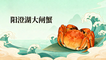 阳澄湖大闸蟹02