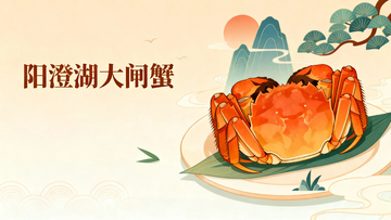 阳澄湖大闸蟹06
