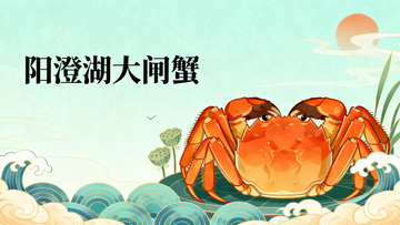 阳澄湖大闸蟹12