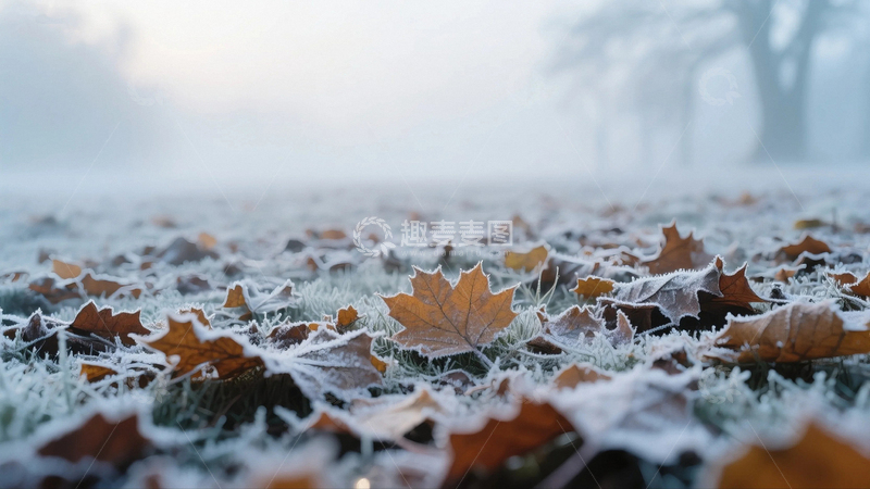 高清大图下载【趣麦麦图】霜降时节的大地4