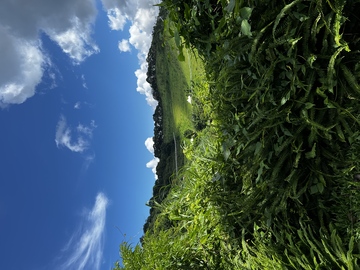 可做windows系统（电脑）封面