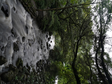 灰色的瀑布和绿色的树