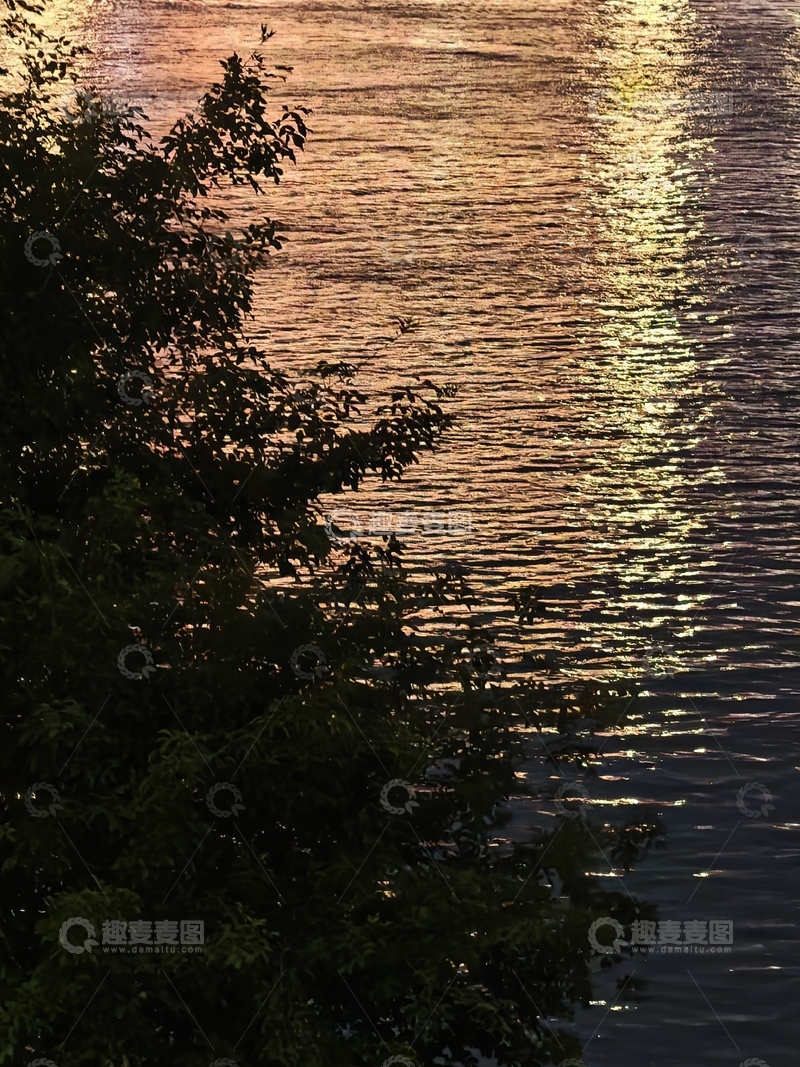 高清大图下载【趣麦麦图】夜光下的河流