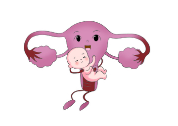 子宫与胎儿的温馨卡通形象医用插图