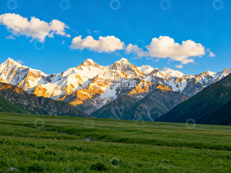 高清大图下载【趣麦麦图】蓝天白云雪山草4