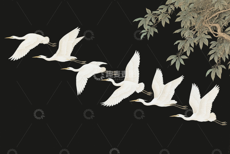 源文件下载【趣麦麦图】工笔画风格白鹭