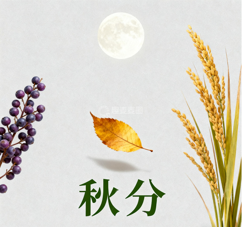 高清大图下载【趣麦麦图】24节气之：秋分&mdash;秋收冬藏8